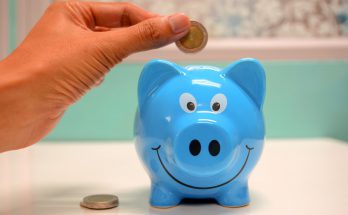 information-hub-spot-google-earning
