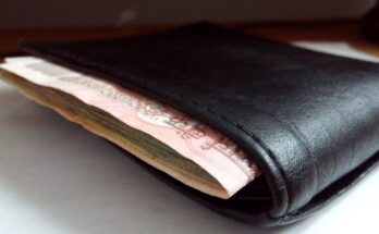 earning-hub-top-18-income-ways
