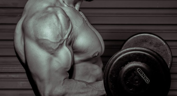 Bicep Workouts - Advanced Bicep Curl-info hubspot
