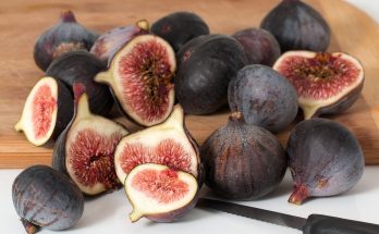 fig-advantage-and-disadvantages
