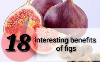 benefits of figs