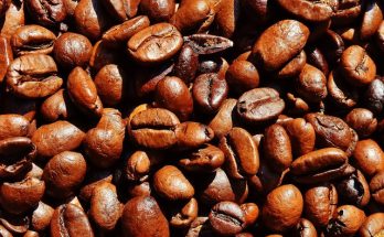 Roasted Almonds