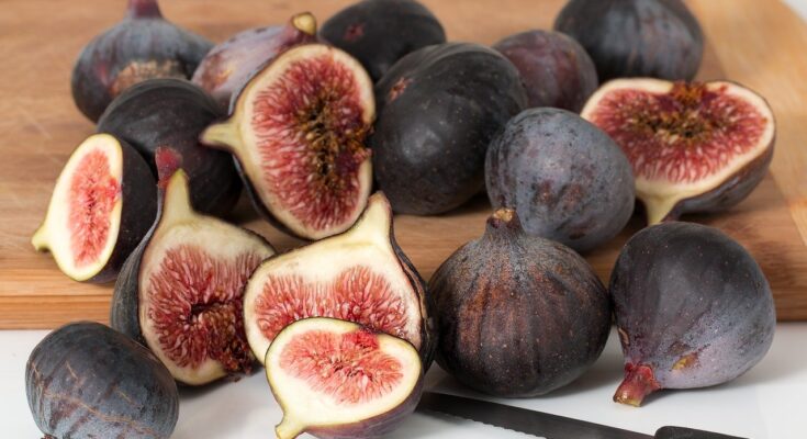 51 figs Interesting benefits & facts